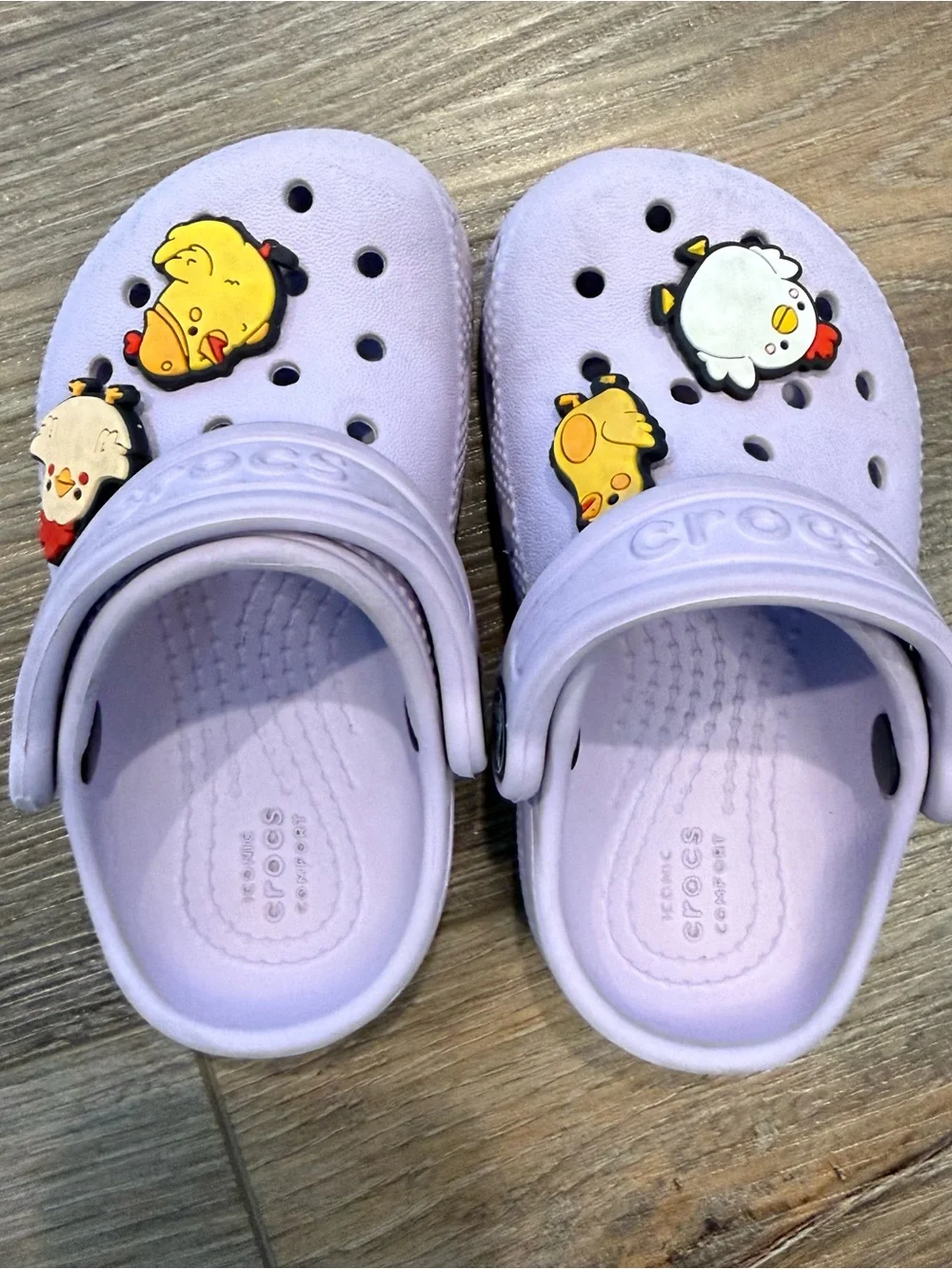 CROCS Kids Lavender Slip-On Clogs with Chick Charms
